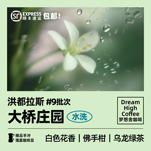 梦想舍 大桥庄园水洗瑰夏手冲精品咖啡豆新鲜烘焙 洪都拉斯120g