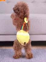 Собаки собаки проходят через физиологические штаны