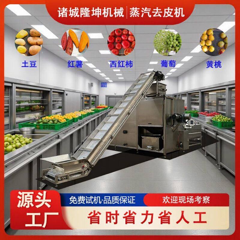 支持定制 全自动葡萄蒸汽去皮机 多功能黄桃罐头加工流水线脱皮机