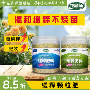 绿植 虹越花彩师缓释肥颗粒通用复合肥料无机肥料奥绿多肉月季