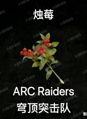 ARC Raiders烛莓Candleberries