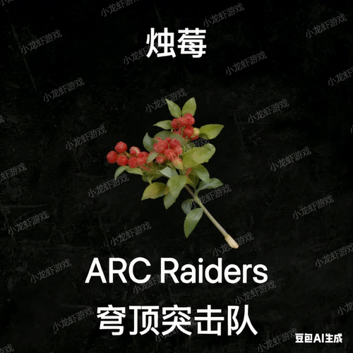 ARC Raiders烛莓