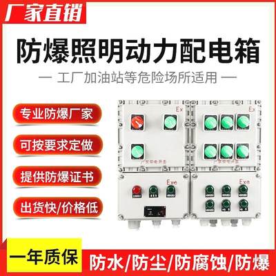 防爆配电箱接线箱照明控制箱电源仪表检修动力开关电控箱空箱电工