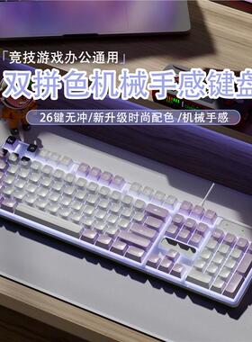 高颜值紫白游戏键盘鼠标套装笔记本台式电脑女生可爱有线