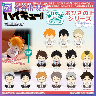 【现货】排球少年 PROOF“坐姿系列玩偶 午睡ver.” 正版日谷