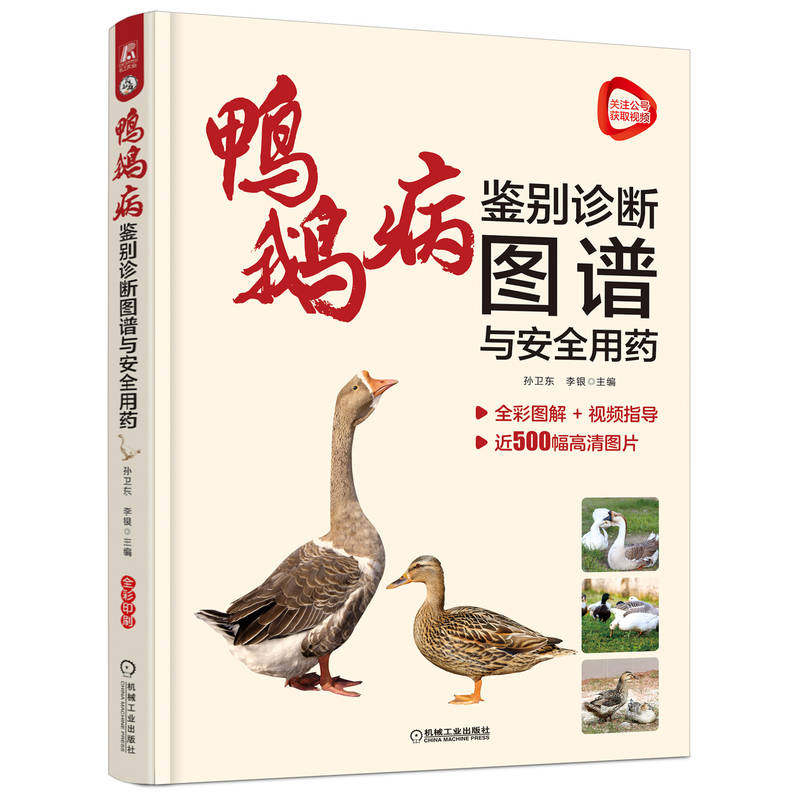 正版书籍 鸭鹅病鉴别诊断图谱与安全用药 孙卫东 感染途径 运动障碍 食盐中毒 腹泻 呼吸系统 禽流感 免疫抑制 机械工业出版社