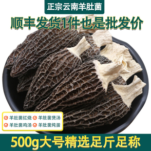 羊肚菌干货500g大号云南特产级纯菇类野生菌新鲜菌菇蘑菇煲汤食材