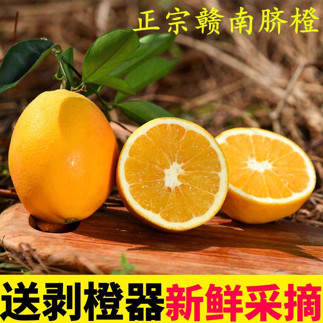 正宗赣南脐橙新鲜当季水果手剥橙橙