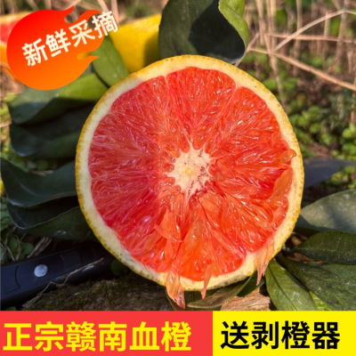 江西赣南血橙新鲜孕妇水果当季大果中华红橙红心甜橙子红肉送礼品