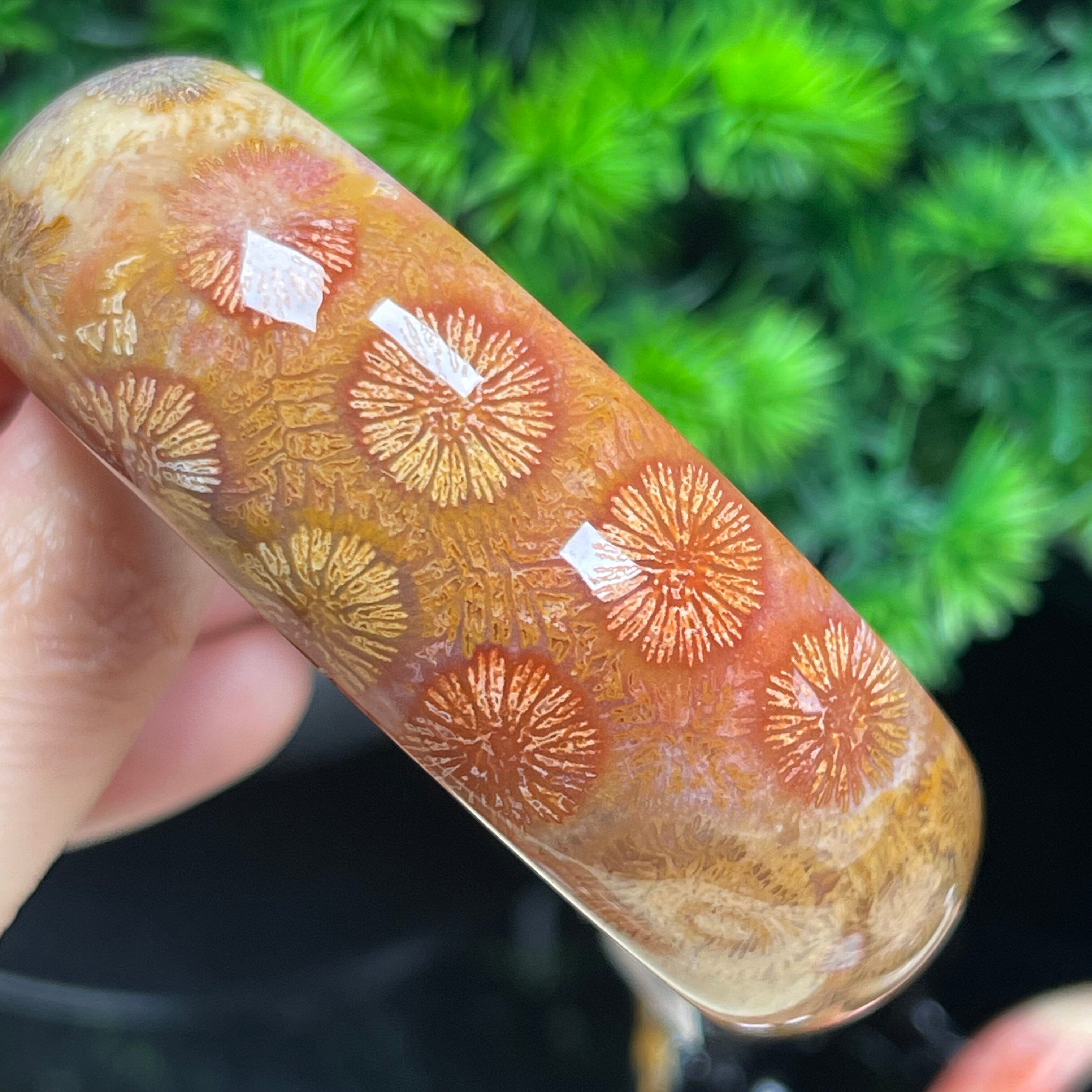 昌盛冰种果冻大彩花菊花石玉镯女款精品天然印尼珊瑚玉手镯直播间