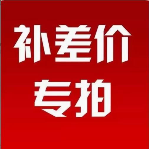 数据恢复差价专拍