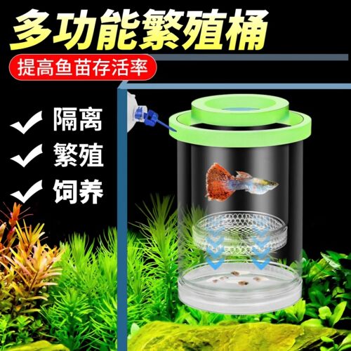 鱼缸隔离盒孔雀鱼繁殖盒鱼缸孵化器小鱼幼鱼母鱼产房悬浮漂浮式