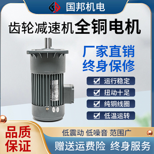 齿轮减速机 400W750W变频调速1500W立式 国邦减速电机380V卧式 200W