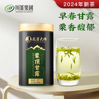 龙芽大师蒙顶甘露春茶茶叶绿茶2024新茶四川雅安高山明前特级100g