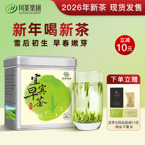 宜宾早茶2026年新茶开园头采