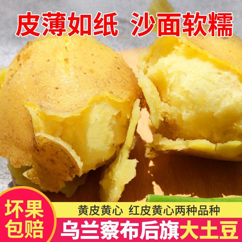 内蒙古土豆沙面黄皮黄心新鲜乌兰察布土豆红皮山药农家马铃薯批发