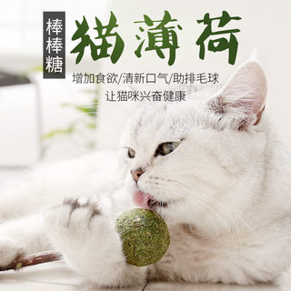 猫薄荷猫咪磨牙棒小奶猫零食洁齿幼猫啃咬木天蓼棒逗猫棒玩具用品