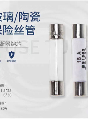 陶瓷保险管保险丝5*20/5*25/6*30250V熔芯熔断保险RO54/RO55/RO58