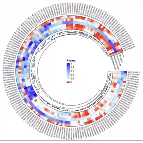进化树 系统发育树构建上色美化矢量图绘制 生物信息分析指导