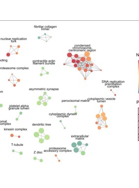 GWAS 全基因组关联分析 QTL 群体结构进化树曼哈顿图 QQ 图 PCA