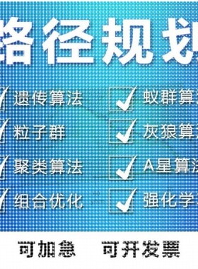 matlab路径规划遗传蚁群蜂群狼群算法代编python强化学习组合优化