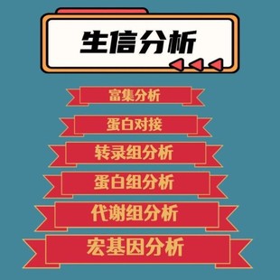 生信分析高分定制服务单细胞空间转录组分析结合深度学习AI算法服