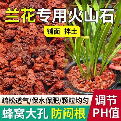 火山石养花蝴蝶兰花专用小颗粒多肉铺面石子鱼缸造景底部砂石石头