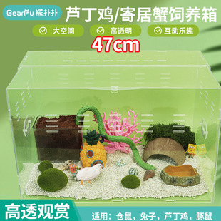 全透明亚克力寄居蟹饲养箱芦丁鸡笼子爬宠饲养盒芦丁鸡窝仓鼠笼
