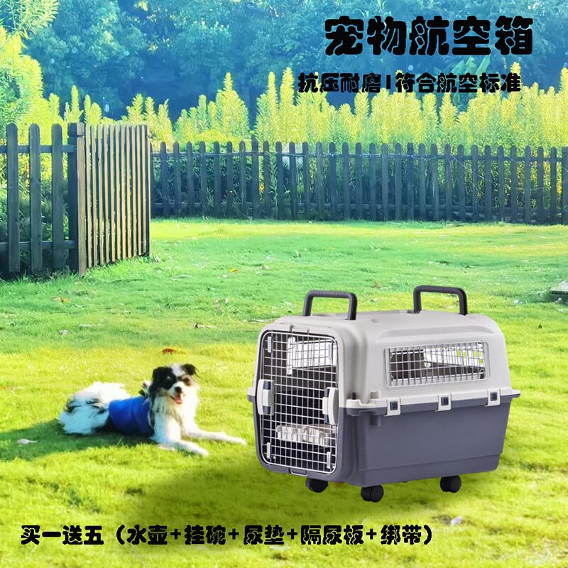 宠物航空箱便携猫包标准手提猫咪