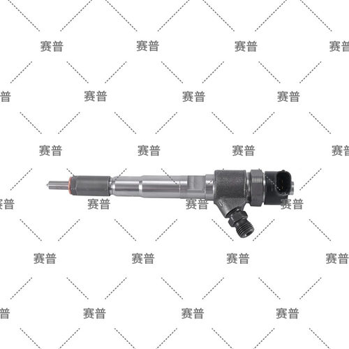 共轨柴油机喷油器0445110919