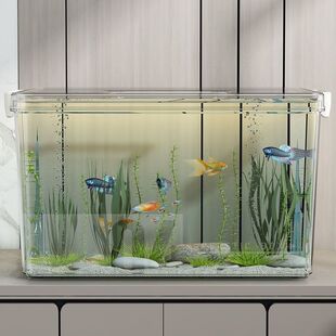 高透PET鱼缸生态箱高清金鱼缸饲养水族乌龟仓鼠生态造景收纳箱子