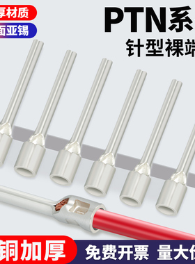 PTN针型裸端子铜线鼻子冷压接线端子插针形线耳铜接头0.5-70平方