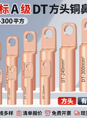 国标DTF方头铜鼻子紫铜线耳塑壳断路器光伏接线端子DTF10-300平方