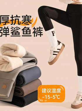 女童鲨鱼裤加厚考拉绒儿童打底裤