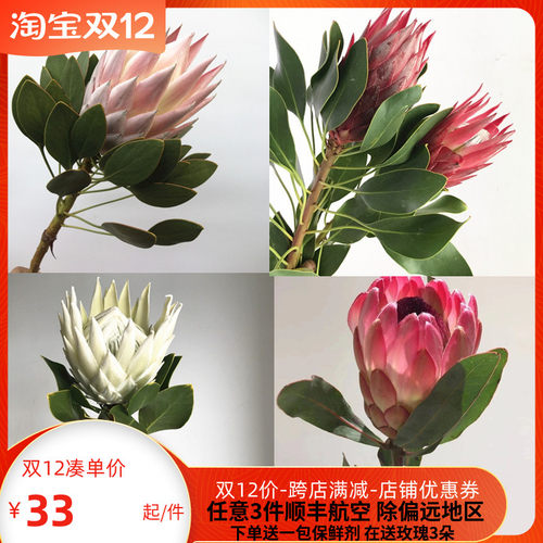 转山转水转佛塔啊价格 转山转水转佛塔啊图片 星期三