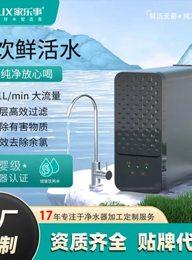 净水器家用厨下式直饮净饮机800G