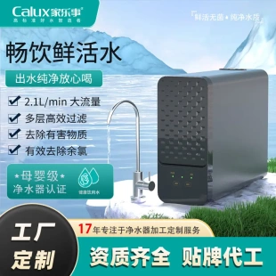 净水器家用厨下式 直饮净饮机800G大流量净水机RO反渗透纯水机