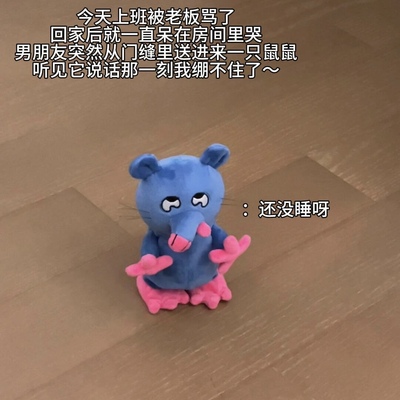 走路发声小老鼠小妹妹还没睡啊抽象老鼠玩偶毛绒玩具偷感披萨塔鼠