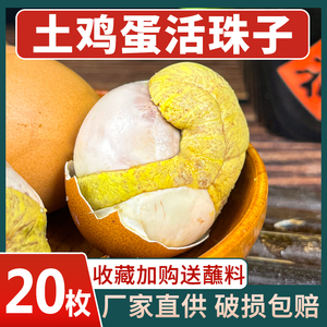 五香味活珠子20枚新鲜13天鸡胚蛋真空即食钢化蛋毛蛋毛鸡蛋整箱