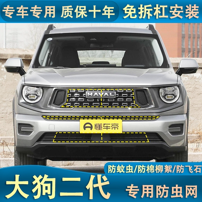 适用于哈弗二代大狗新能源专用水箱防虫网防杨柳絮蚊虫中网改装