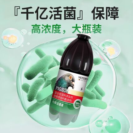 汉诺威鸽用活菌益生菌七联活菌液赛鸽信鸽肠道调理鸽用