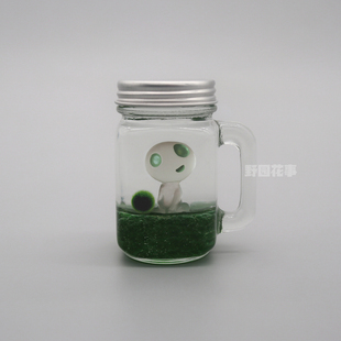 Marimo海藻球微景观生态瓶桌面摆件水培治愈系迷你创意绿植物礼品