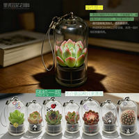 Yihuozhen Succulent Keychain Cactus Ecological Bottle Mini potted Plant Pendant Green Plant Micro-Landscape Creative Gift thumbnail 4