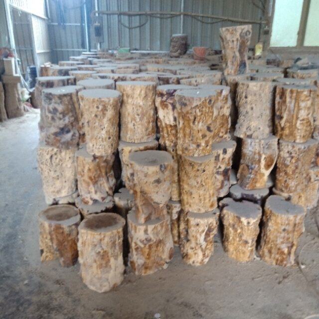 香樟木原木墩小凳子根g雕树根底座樟木树桩实木墩子家用木墩凳木