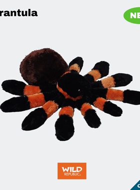 雨林系列｜CK-狼蛛/毒蜘蛛仿真动物毛绒正品进口玩偶玩具