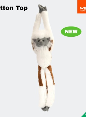 挂挂猴｜棉顶狨猴毛绒美国WildRepublic动物玩具正品玩偶