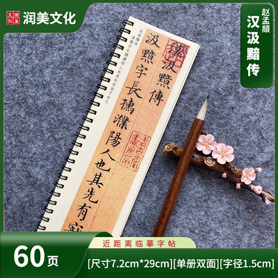 汲黯传小楷字帖赵孟頫毛笔字帖临摹楷书描红近距离字帖二册60页