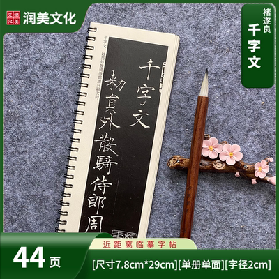 唐褚遂良千字文近距离临摹字帖毛笔书法