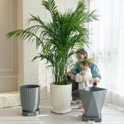 菱形大号树脂简约北欧风格花盆大型植物仿水泥天堂鸟幸福树专用