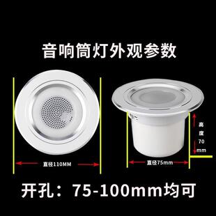 其他 other 其他家用客餐厅高品质蓝牙音响筒灯天花吸顶两用环绕